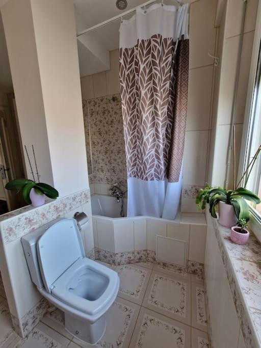 Beautiful Aparment Next To The Border 4 Room Saint-Louis  Exterior photo